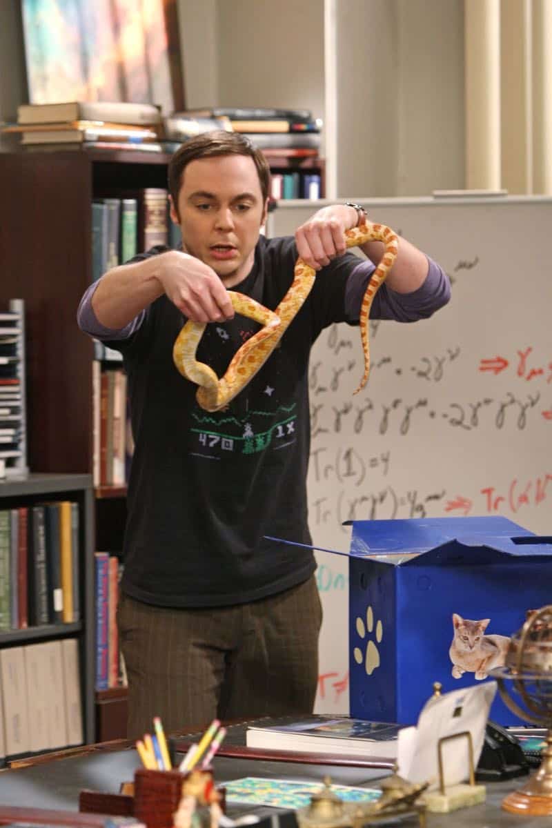 "The Good Guy Fluctuation" -- A cute comic book artist puts Leonard and Priya's relationship to the test, while Sheldon (Jim Parsons) tries to scare the guys for Halloween, on THE BIG BANG THEORY, Thursday Oct. 27 (8:00 - 8:31 PM, ET/PT) on the CBS Television Network.   Photo: Monty Brinton/CBS ÃÂ©2011 CBS Broadcasting Inc. All Rights Reserved
