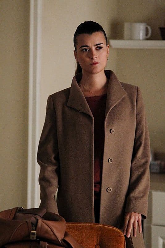 NCIS Season 10 Episode 11 Shabbat Shalom