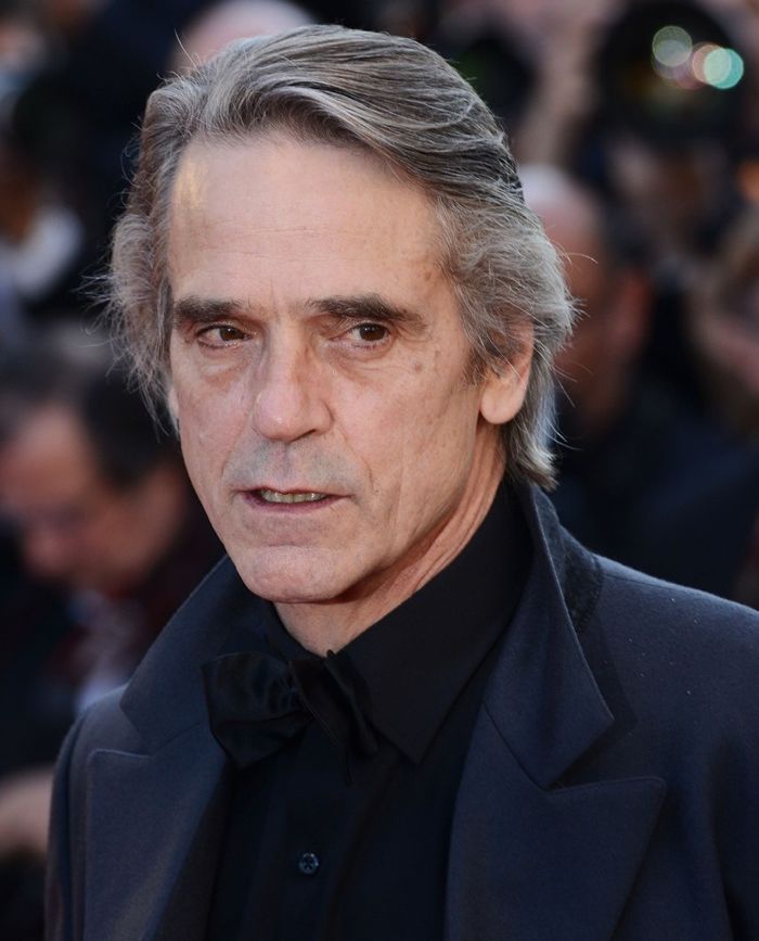 Jeremy Irons Alfred batman-vs-superman