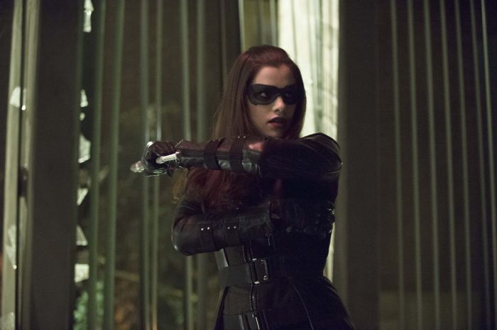 Arrow Season 2 Episode 17 17