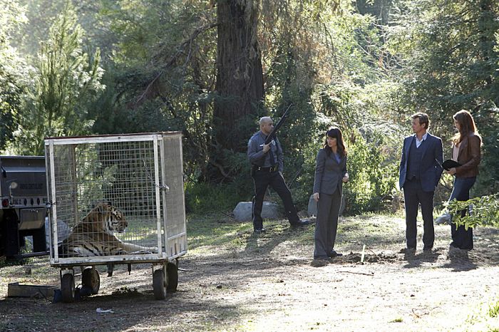 Jane (Simon Baker), Lisbon (Robin Tunney, left) and Van Pelt (Amanda Righetti, right) Jane (Simon Baker), Lisbon (Robin Tunney, left) and Van Pelt (Amanda Righetti, right)