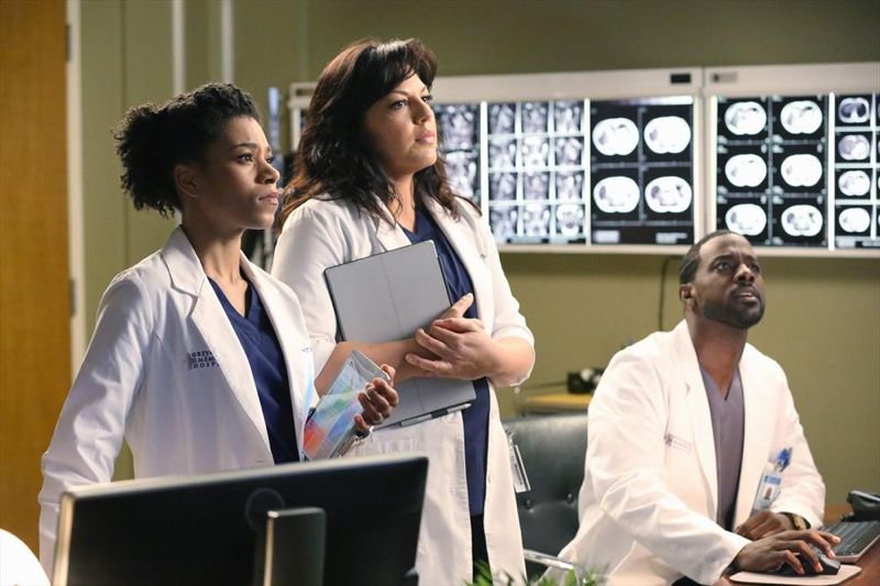 KELLY MCCREARY, SARA RODRIGUEZ, LANCE GROSS