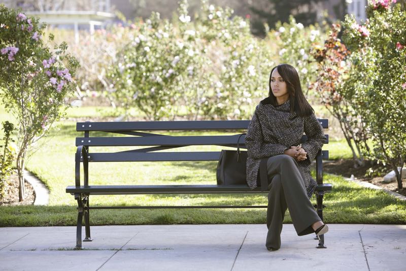 SCANDAL Season 4 Episode 16 Photos It's Good to be Kink 2 138545_1903_pre