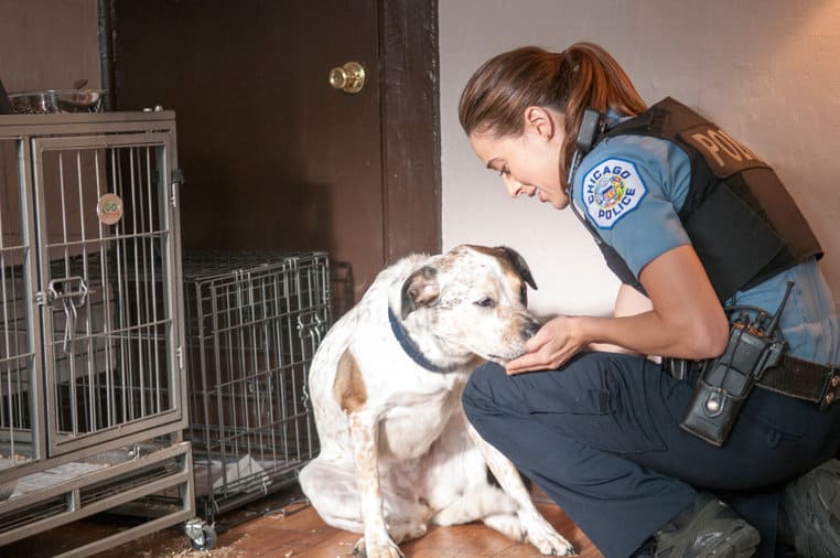 Marina Squerciati | Chicago P.D. | "Debts of the Past"