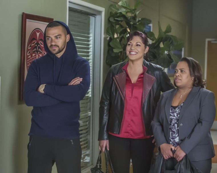 Grey's Anatomy Season 12 Episode 13