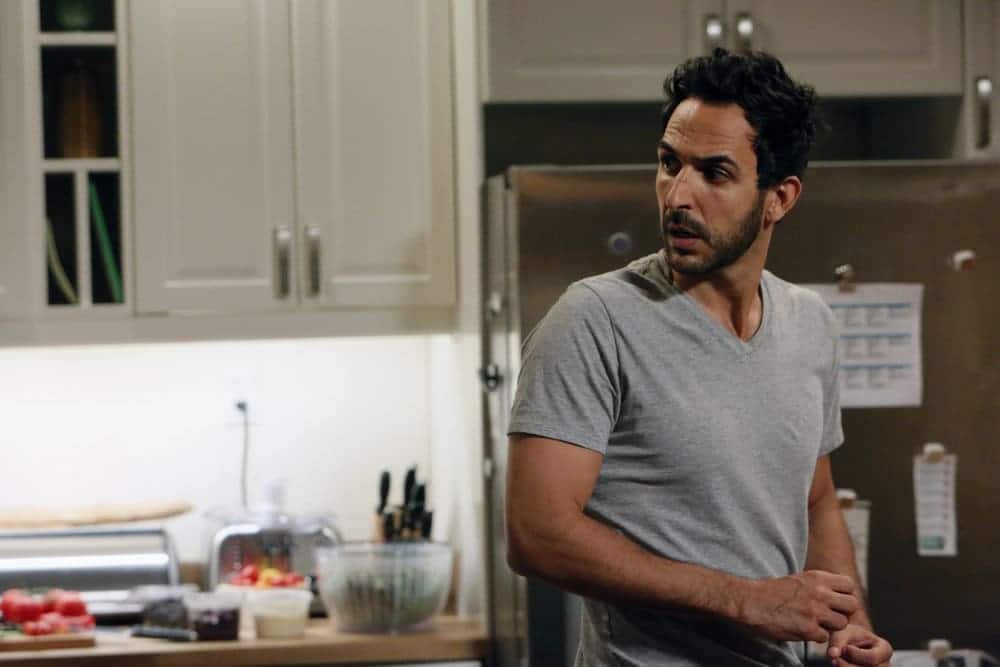 THE BLACKLIST Season 4 Episode 6 Photos The Thrushes: #53 8 THE BLACKLIST-- "The Thrushes: #53" Episode 406 -- Pictured: Amir Arison as Aram Mojtabai -- (Photo by: Will Hart/NBC)