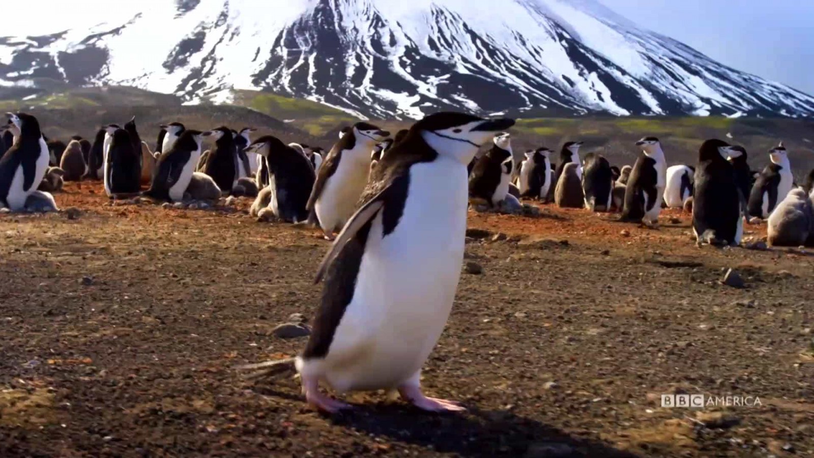 Planet Earth BBC America