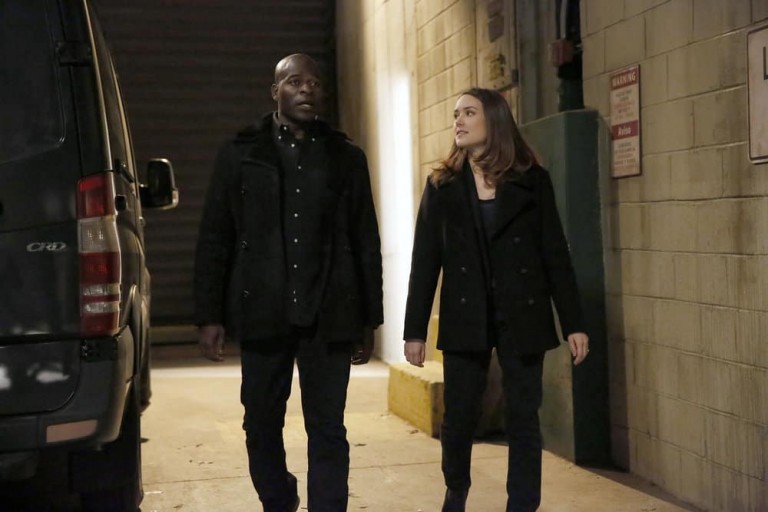 Blacklist Saison 5 Episode 15 THE BLACKLIST Season 5 Episode 15 Photos Pattie Sue Edwards (#68) | Seat42F