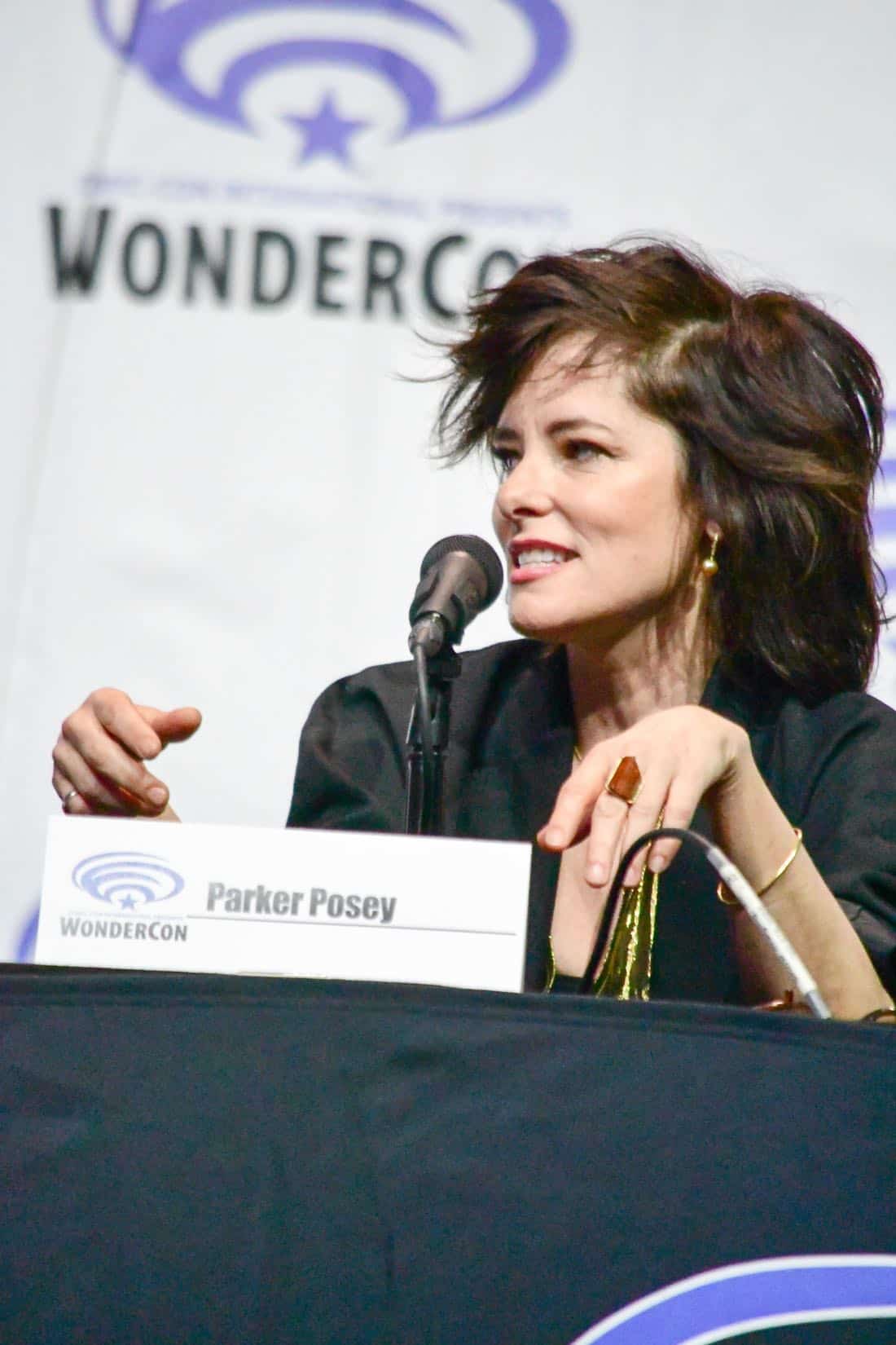 Lost In Space Netflix WonderCon 2018 Cast 32