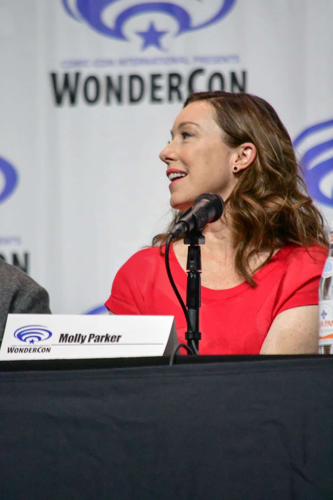 Lost In Space Netflix WonderCon 2018 Cast 03