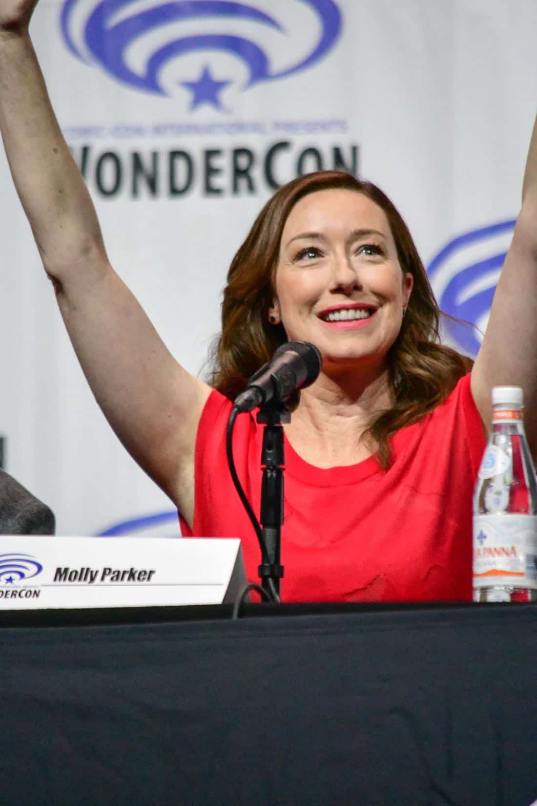 Lost In Space Netflix WonderCon 2018 Cast 04