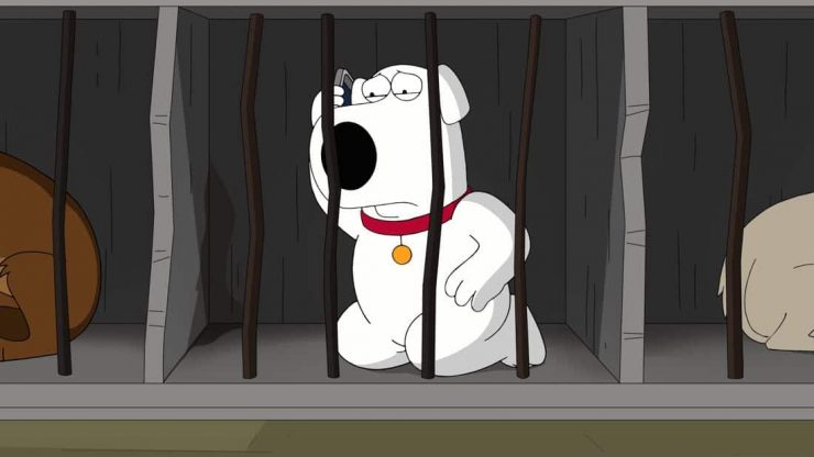 FAMILY GUY Season 16 Episode 15 Photos The Woof Of Wall Street | Seat42F