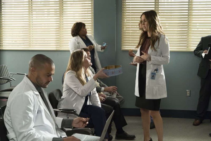 Grey's Anatomy Season 8 Episode 20