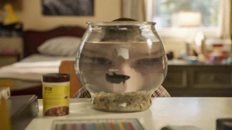 Sheldon Fish Peru YOUNG SHELDON Season 1 Episode 20 Photos A Dog a Squirrel And A Fish ...