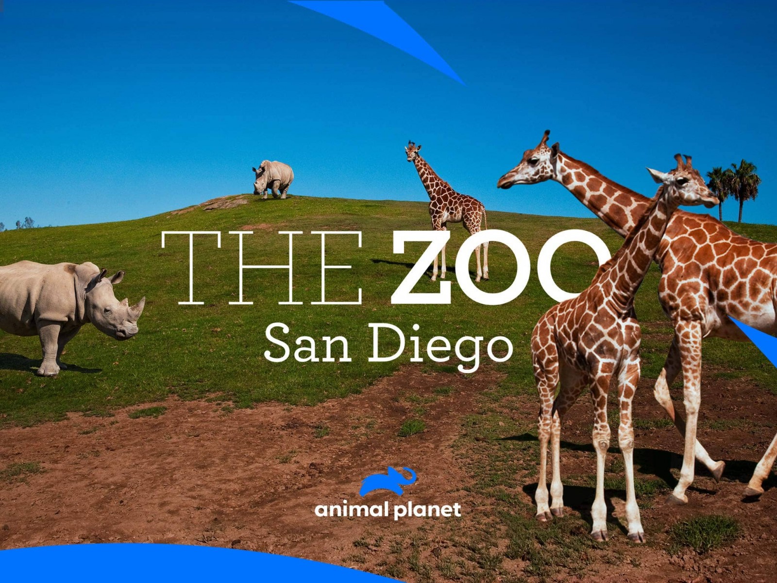 The Zoo San Diego Animal Planet