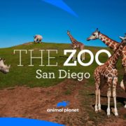 The Zoo San Diego Animal Planet