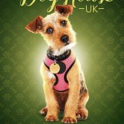 The Dog HouseUK Poster Key Art