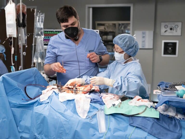 GREY'S ANATOMY Season 18 Episode 19 Out For Blood | Seat42F