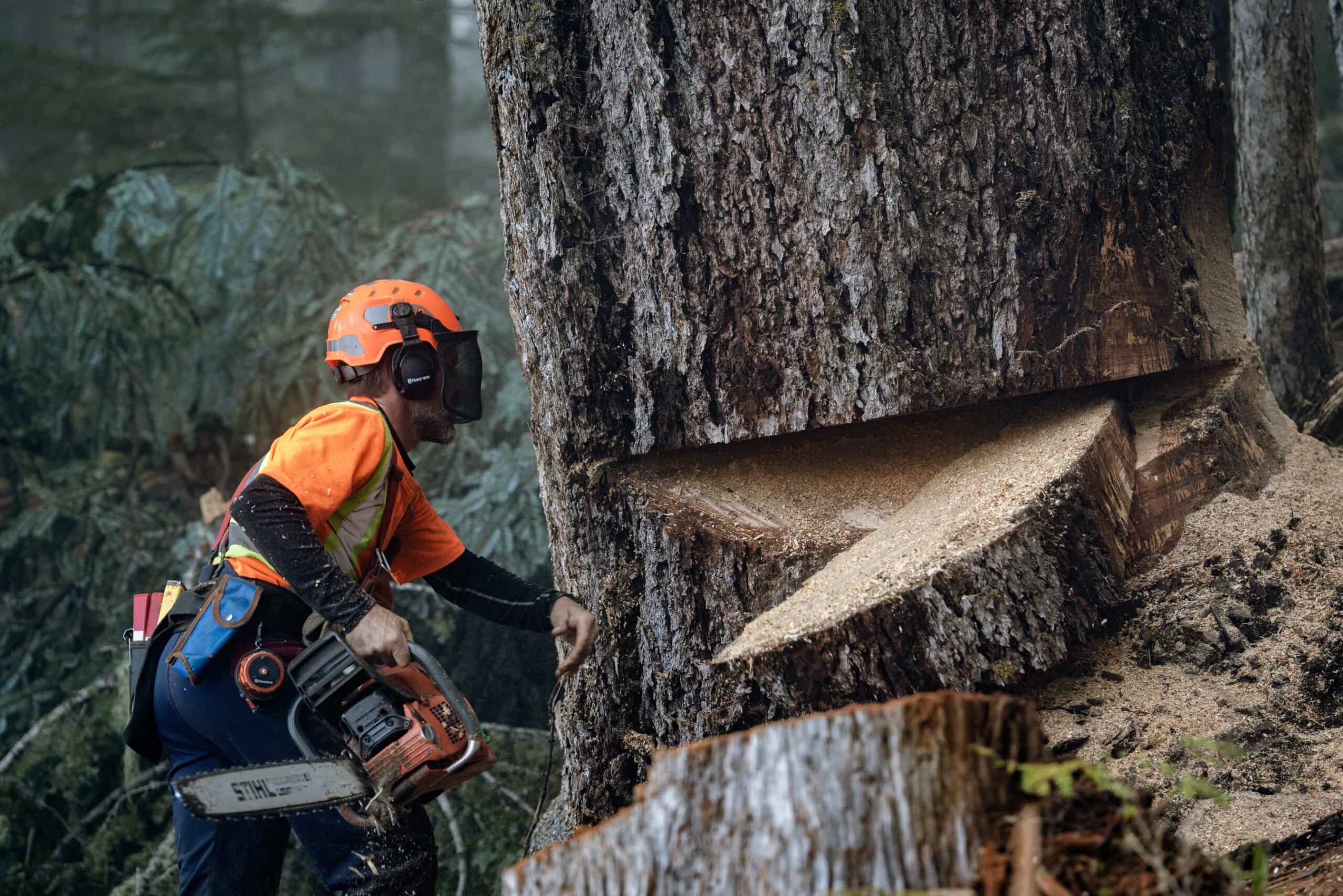 The Last Woodsmen Discovery Channel