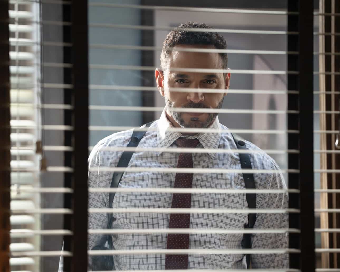 HIGH POTENTIAL - “The One That Got Away: Part Two” - Morgan’s suspicions of Rhys grow deeper as the case of the missing Rembrandt artwork continues. Elsewhere, Roman’s missing backpack causes problems for all involved. TUESDAY, JAN. 6 (9:00-10:00 p.m. EST) on ABC. (Disney/Jessica Perez) 
DANIEL SUNJATA