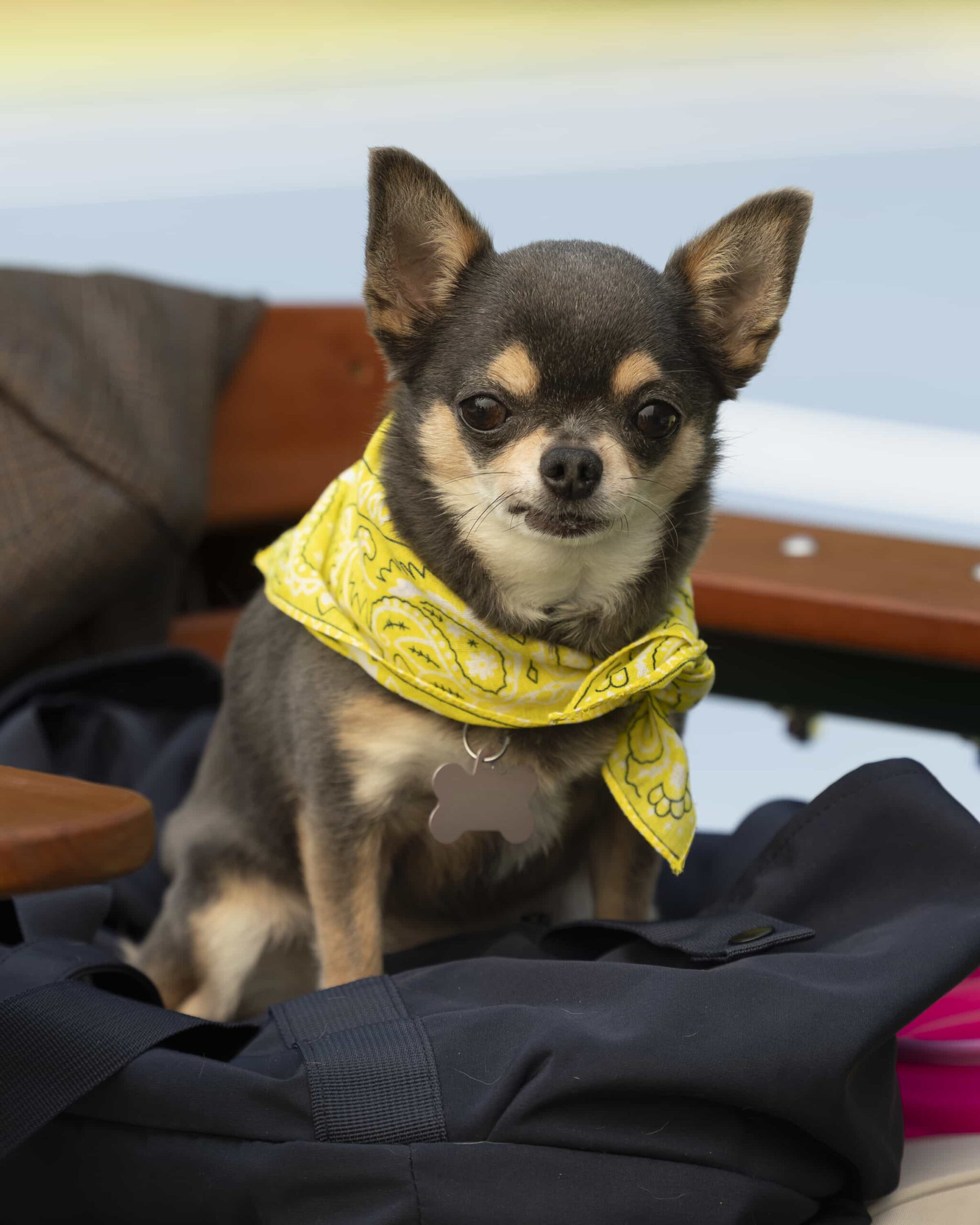 WILL TRENT - Betty - “… Speaking of Sharks” - Five months after the attack on the GBI, a figure from Will’s past escapes prison, forcing him to defy orders and launch a search that rips open old wounds and threatens to destroy everything he’s fought to rebuild. TUESDAY, JAN. 6 (8:00-9:00 p.m. EST) on ABC. (Disney/Lynsey Weatherspoon) 
BLUEBELL