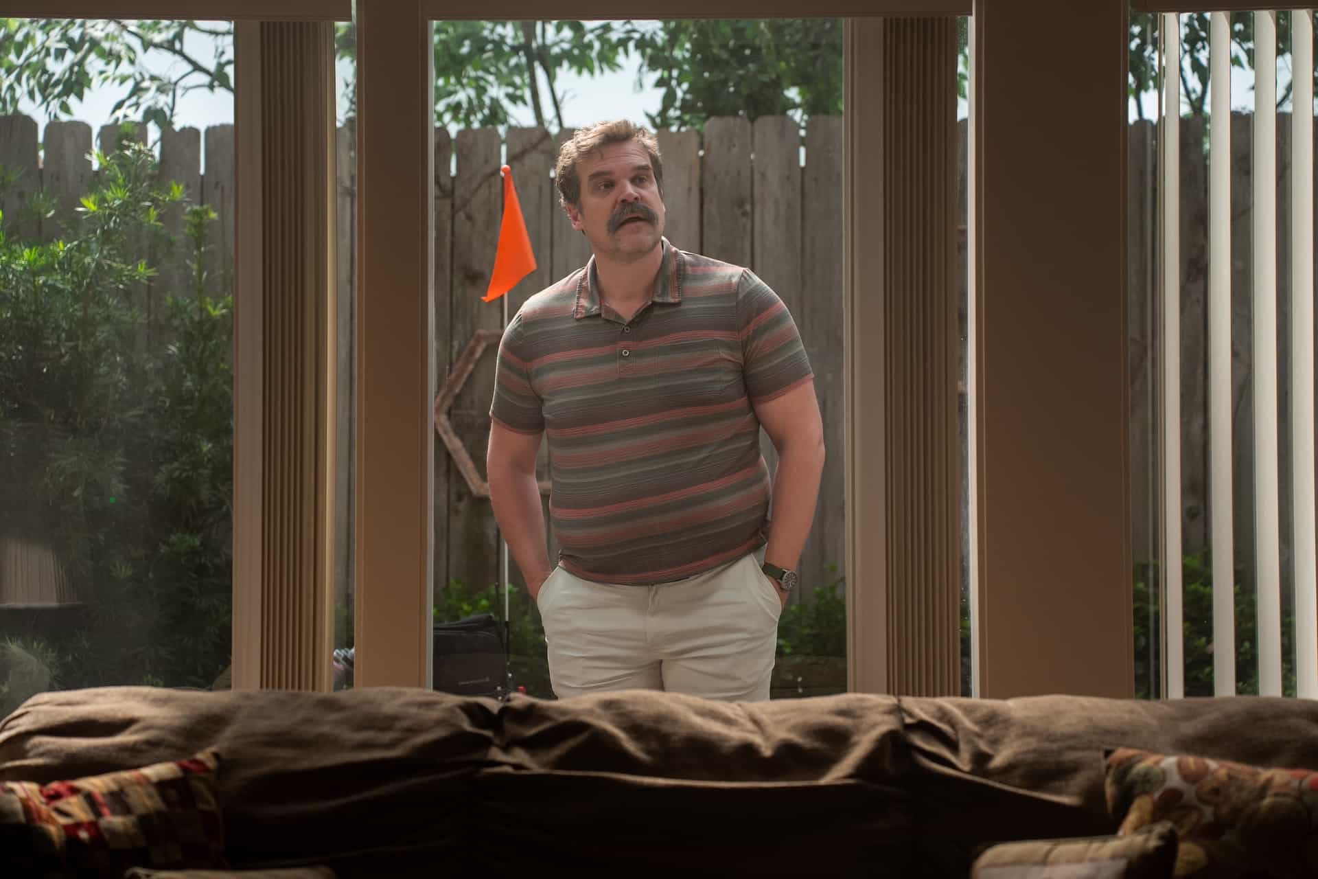 David Harbour DTF ST. LOUIS Season 1