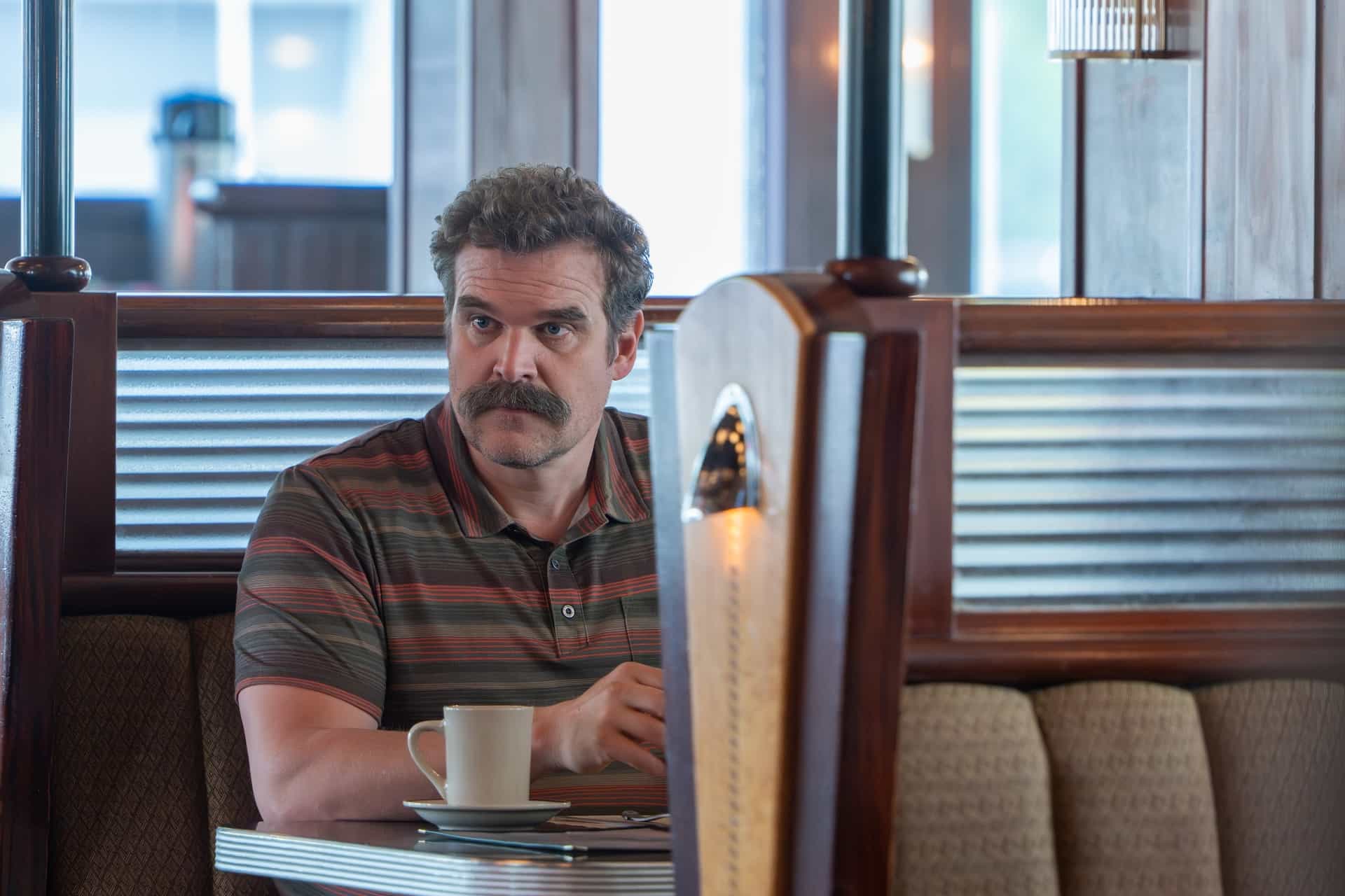 David Harbour DTF ST. LOUIS Season 1