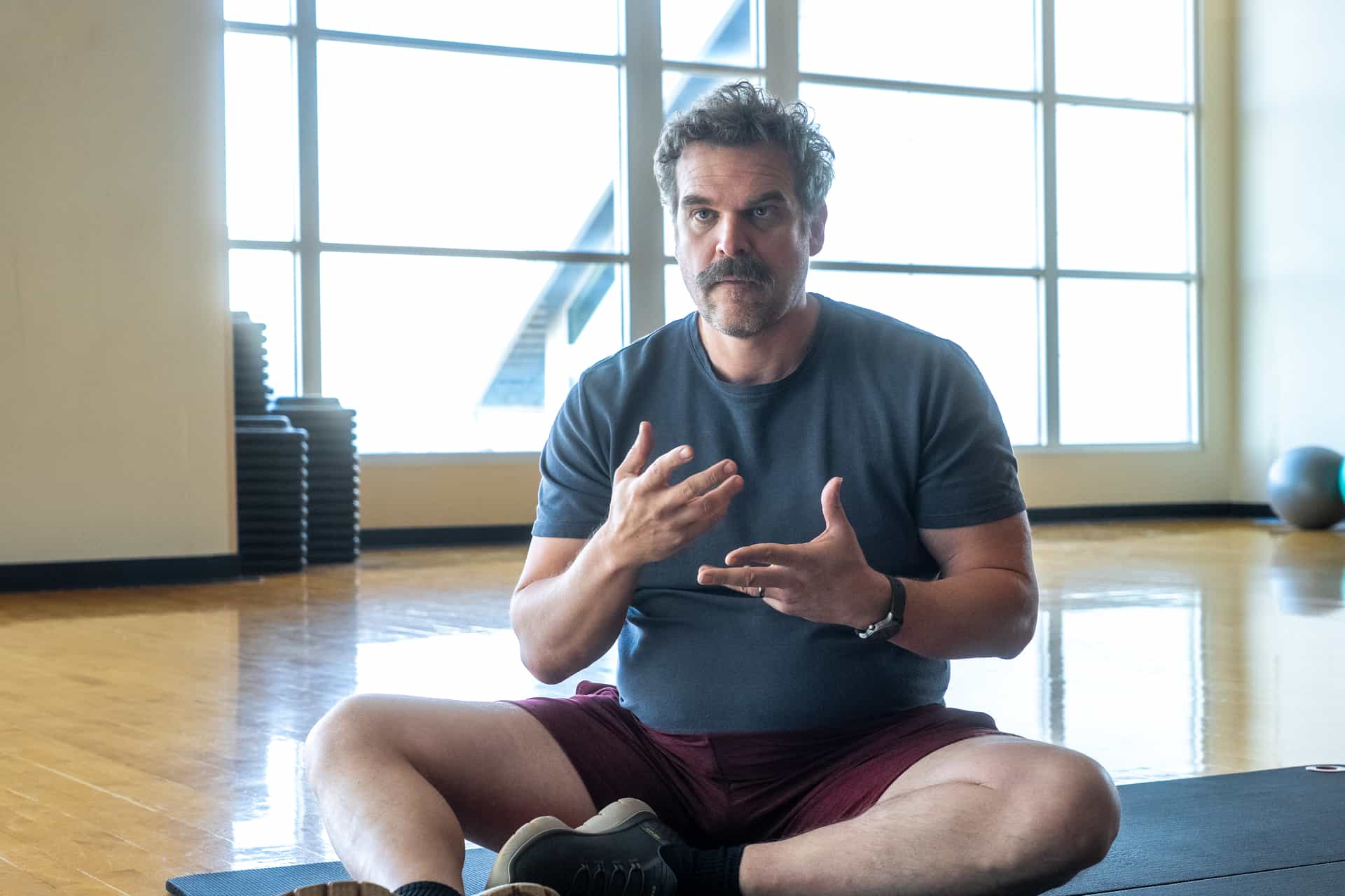 David Harbour DTF ST. LOUIS Season 1 Episode 5