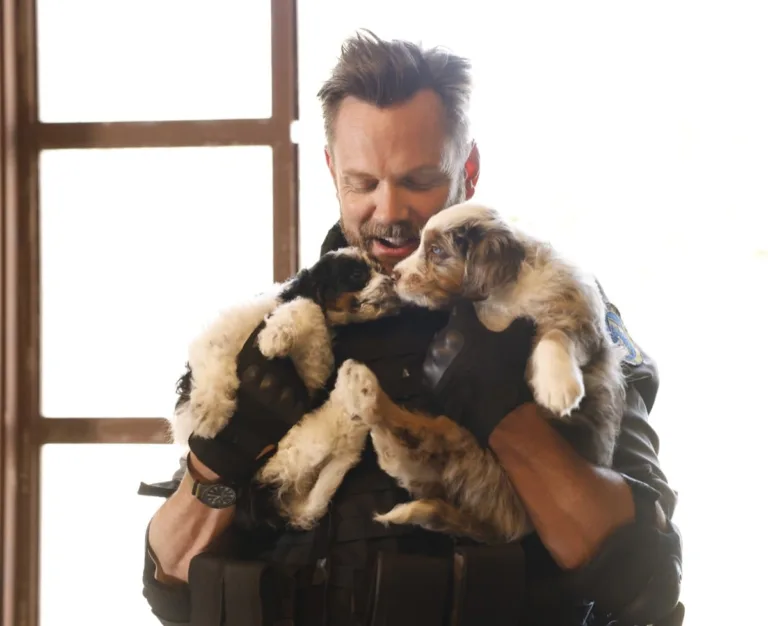 ANIMAL CONTROL Season 5 Episode 1 : Joel McHale in the Season Five premiere episode of ANIMAL CONTROL. Frank leads the team in a work stoppage, but abandons his cause for the ultimate call - recovering the Seahawks’ missing mascot on the all-new “Seahawks and Piglets” episode of Animal Control airing Sunday, September 27 (8:30-9:00 PM ET/PT) on FOX. © 2026 Fox Media LLC. CR: Bettina Strauss/FOX.