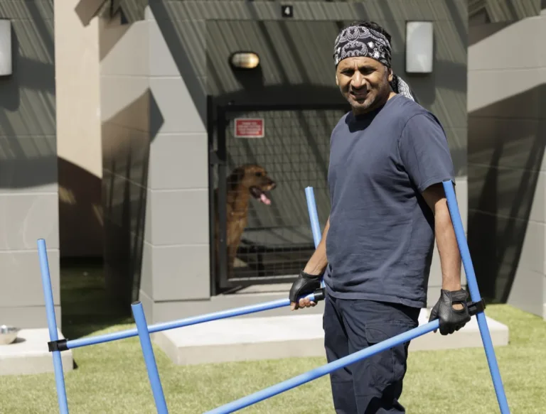 ANIMAL CONTROL: Ravi Patel in the Season Five premiere episode of ANIMAL CONTROL. Frank leads the team in a work stoppage, but abandons his cause for the ultimate call - recovering the Seahawks’ missing mascot on the all-new “Seahawks and Piglets” episode of Animal Control airing Sunday, September 27 (8:30-9:00 PM ET/PT) on FOX. © 2026 Fox Media LLC. CR: Bettina Strauss/FOX.