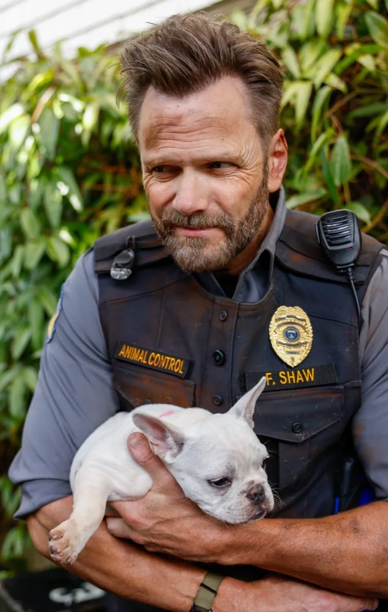 ANIMAL CONTROL Season 5 Episode 2 : Joel McHale in the “Crows & Lizard Legs” episode of Animal Control airing Sunday, Oct. 4 (8:30-9:00 PM ET/PT) on FOX. © 2026 Fox Media LLC. CR: Bettina Strauss/FOX.