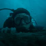 Whalefall Movie Review